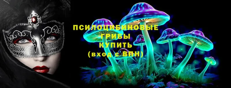 Галлюциногенные грибы Cubensis  Мичуринск 